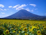 JAようていようてい酪農ヘルパー利用組合